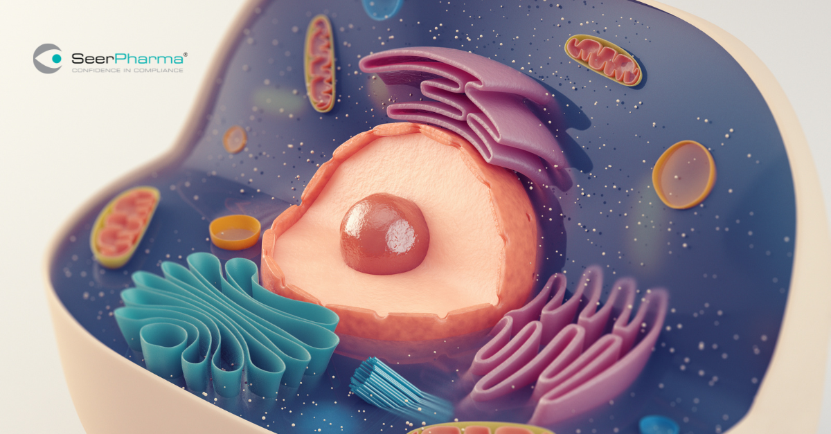 Cell structure
